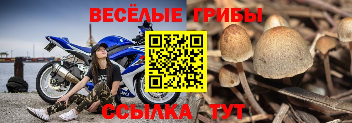 Галлюциногенные грибы ЛСД  Галлюциногенные грибы Psilocybe  Дзержинск  Вход с VPN 